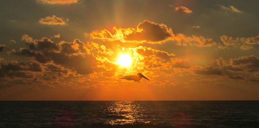 Great sunset aboard Betelgeuse